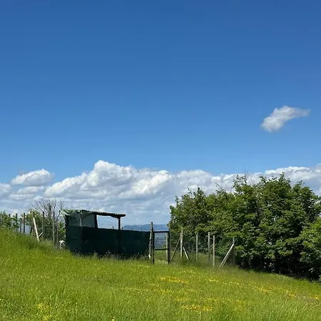 Villetta Panoramica Pet-friendly * Morano Madonnuccia